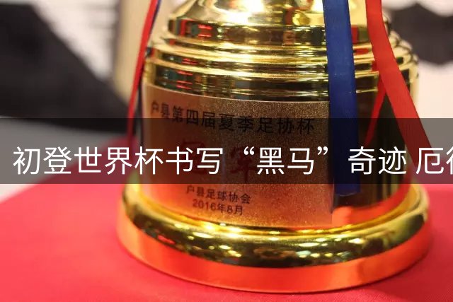 初登世界杯书写“黑马”奇迹 厄德高率挪威黄金一代启航